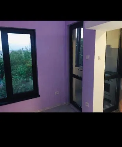 съншайн בורגאס